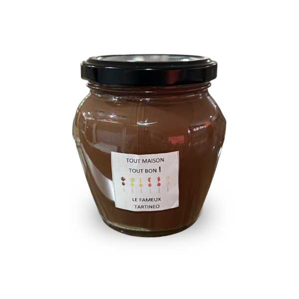 Tartineo chocolat noisette