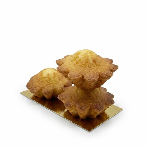 Plateau 12 madeleines